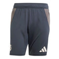 2024-2025 Real Madrid EU Training Shorts (Dark Grey)